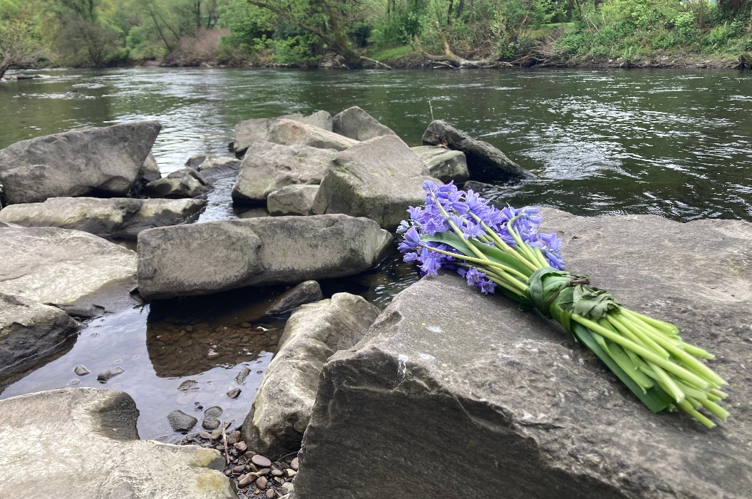 Blumenstrauß mit lila Blumen liegt am Fluss auf einem Felsen als Zeichen der Trauer