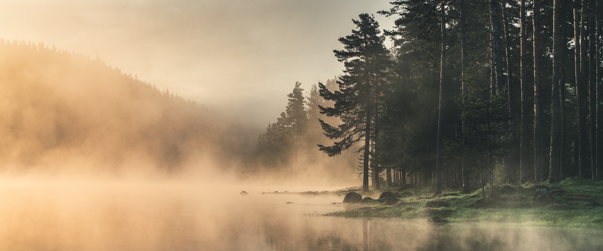 Morgennebel auf dem See, Sonnenaufgangsaufnahme