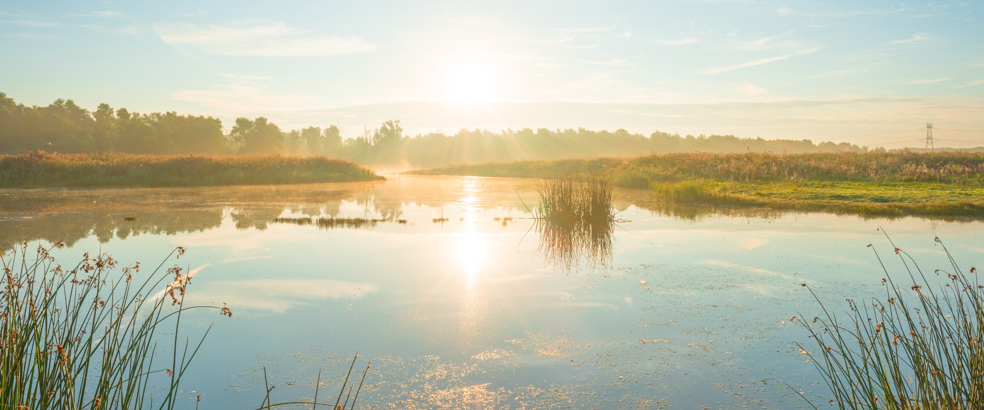 Ufer eines Sees bei Sonnenaufgang im Sommer